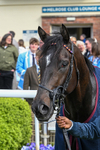 150526-Race 7-Portcullis-8922