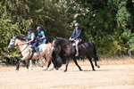 WJ6_9044