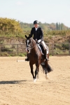 SBM_009873