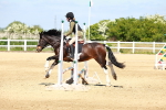 SBM_007201