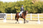 SBM_016522