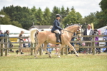 SBM_15996