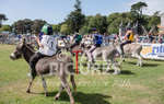 Donkey Derby_2016-25