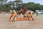 BPP_7733