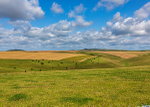 Dorset-3