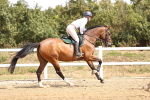 SBM_000527