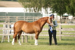 SBM_10565