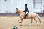 SBM_005411