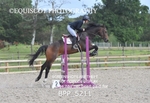 BPP_5211