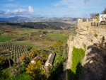 Andalucia 4  -125