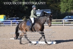 BPP_8229