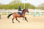 SBM_003629