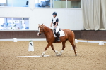 SBM_008045
