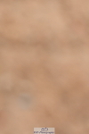 240121A-120101-00704