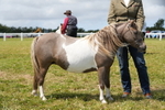 DSC06615