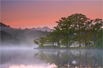 Misty Morning Hues