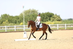 SBM_009169