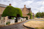 Kingham 12