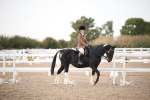 SBM_08739
