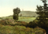 Glastonbury Tor Hill 4