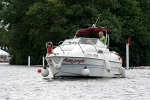 090704 RUMJUNGLE IMG_1019