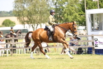 SBM_15144