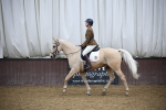 Class 20 - 21 - SSADL Ridden portfolio