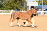 SBM_09275