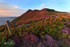 Colours on The Sloc