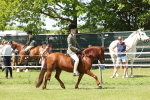 SBM_06795