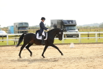 SBM_018317