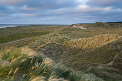 Holkham NNR