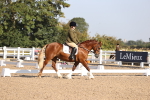 SBM_01650