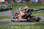 Karting_Summer 2014_Round-3-94