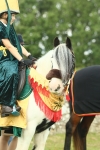 SBM_63587
