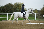 LAD_5036