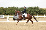 SBM_003828