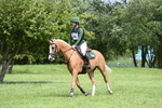 Lyford Stud EV  15-06-24 portfolio