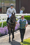 080726-Race 6-Velvet Rhythm-7835