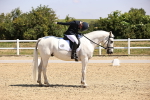 SBM_003672
