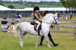 SBM_08060