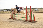 SBM_001980