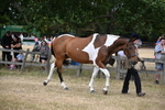 WJ6_8145