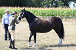 WJ6_4861