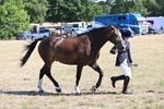WJ6_8639