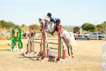 SBM_006560