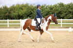 SBM_002836