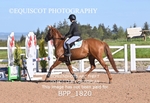BPP_1820