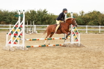 SBM_007516