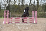 BPP_1131